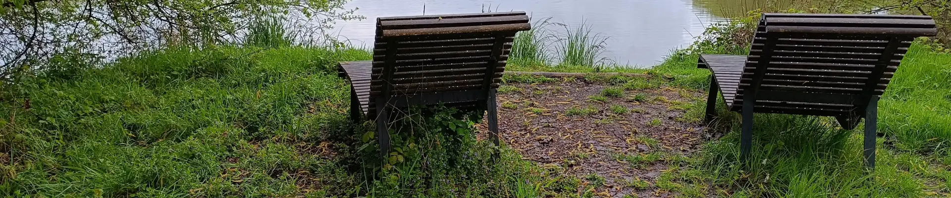 5, étang, Randonnée, Saint Loup Sur Semouse, Usap, Usap Randos